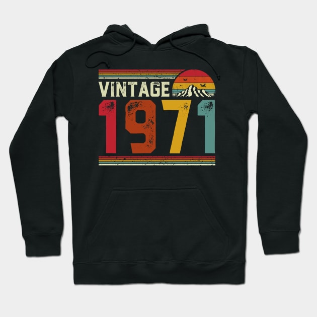 Vintage 1971 Birthday Gift Retro Style Hoodie by Foatui